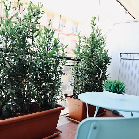 Apartment Doma 2